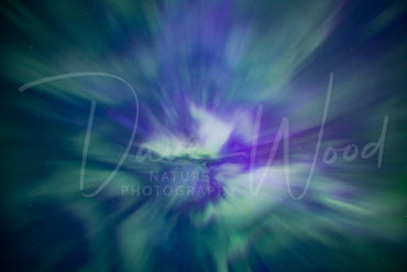 Aurora Borealis Displays a Spectacular Corona