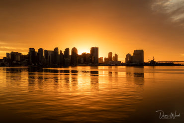 San Diego Skyline, Golden Hour